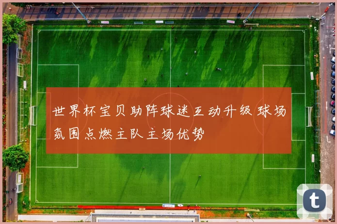 世界杯宝贝助阵球迷互动升级 球场氛围点燃主队主场优势