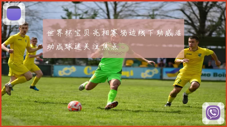 世界杯宝贝亮相赛场边线下助威活动成球迷关注焦点